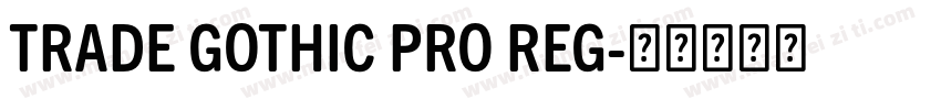 TRADE GOTHIC PRO REG字体转换